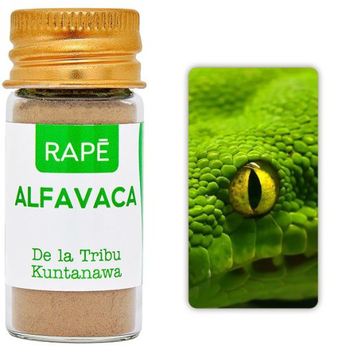 Alfavaca - Afbeelding 2